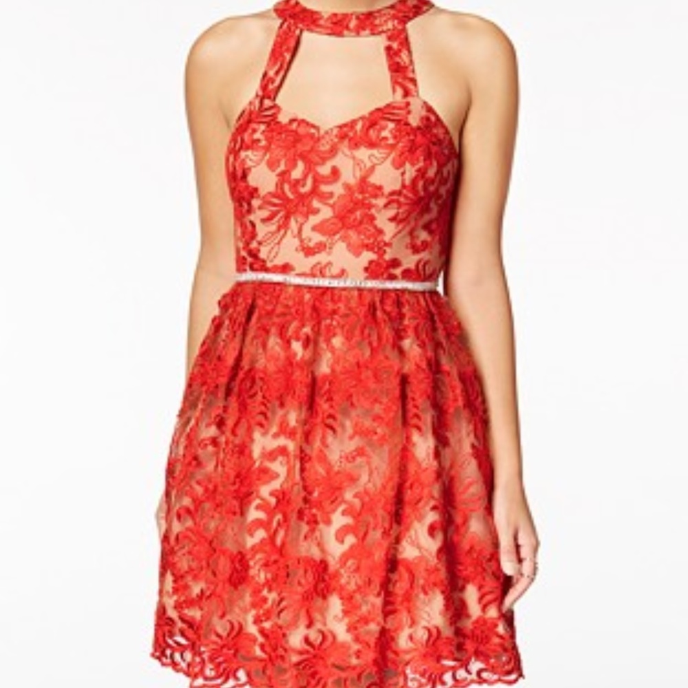 Taupe Red Embroidered Fit & Flare Dress